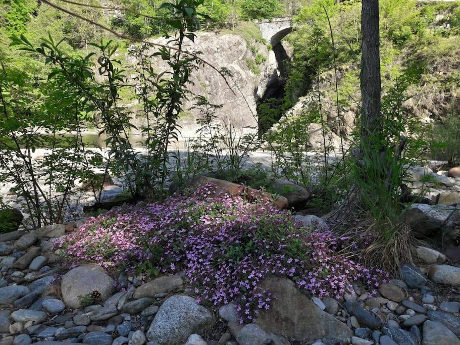 Appartamento La Meridiana A Traffiume Cannobio Luaran gambar